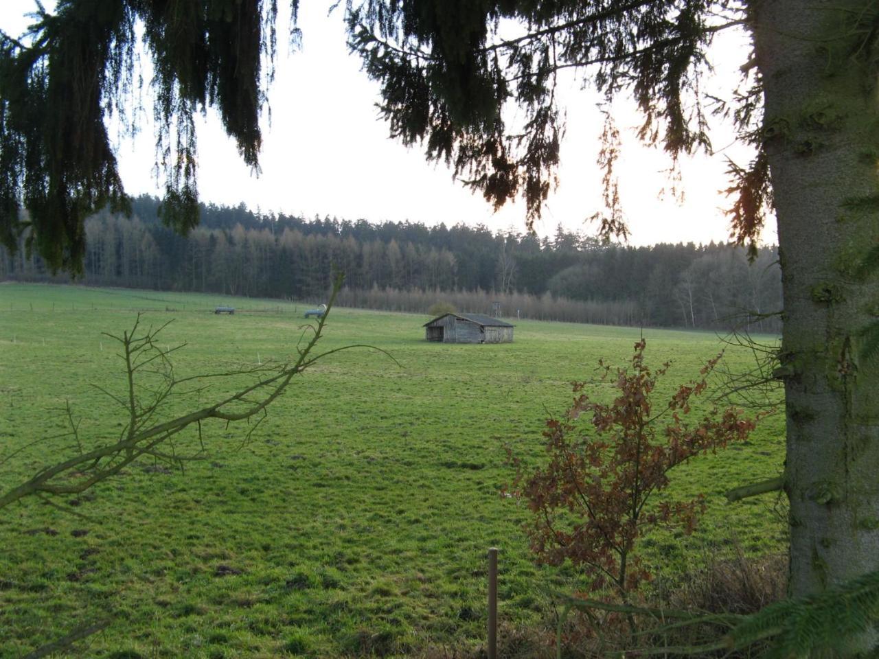 Ferienwohnung Prior Bad Emstal Exteriör bild