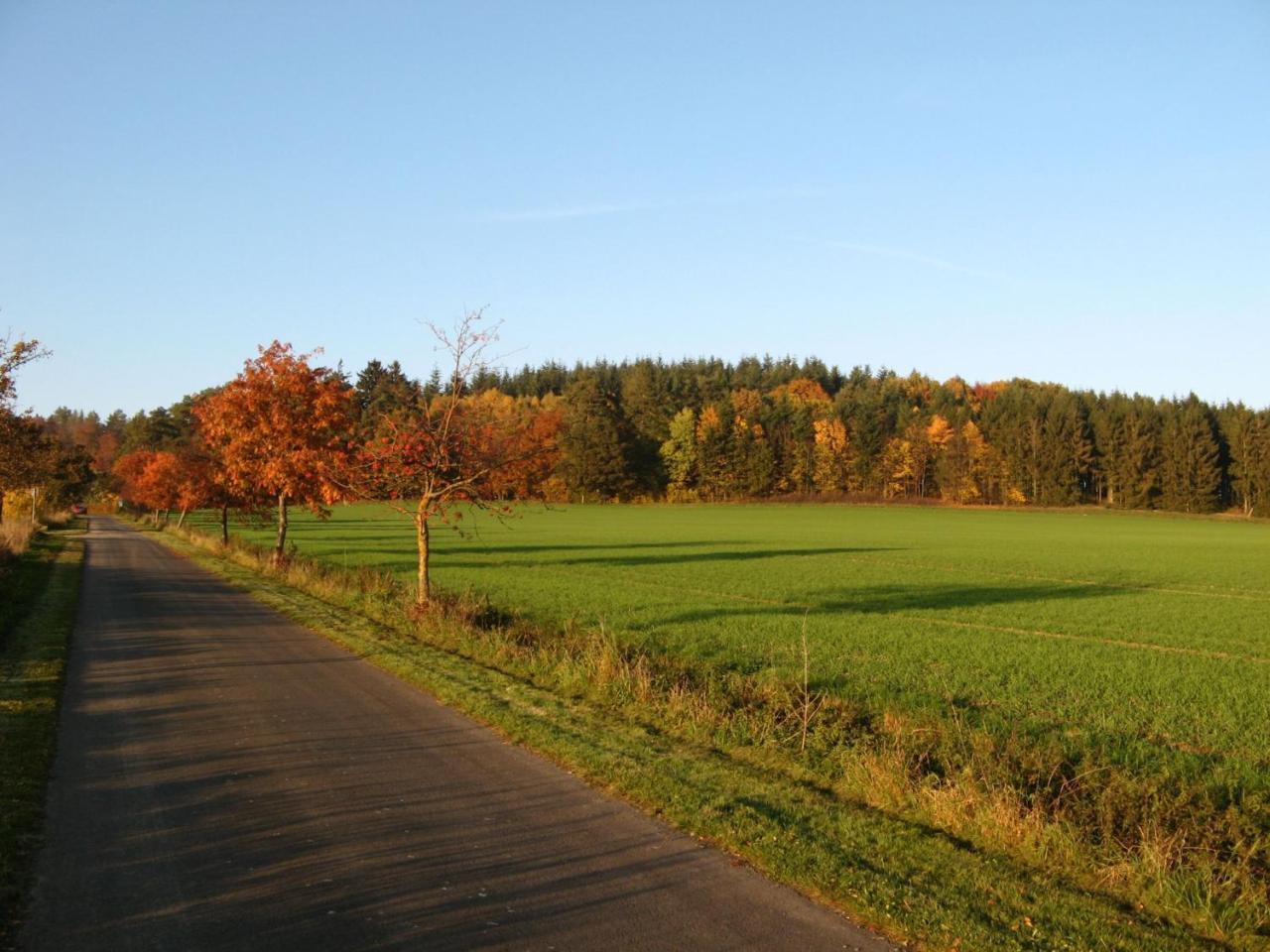 Ferienwohnung Prior Bad Emstal Exteriör bild