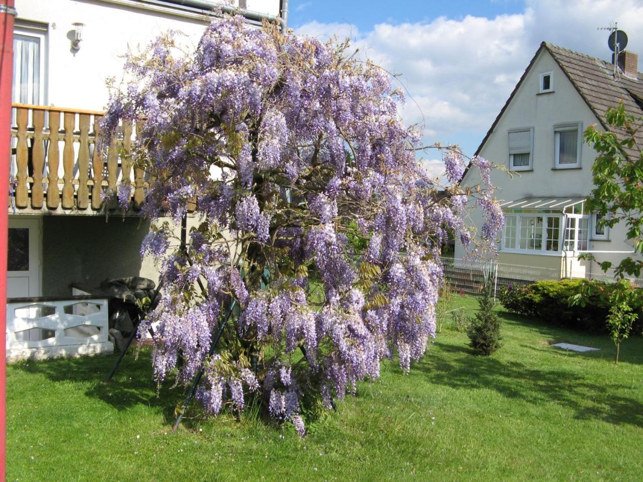 Ferienwohnung Prior Bad Emstal Exteriör bild